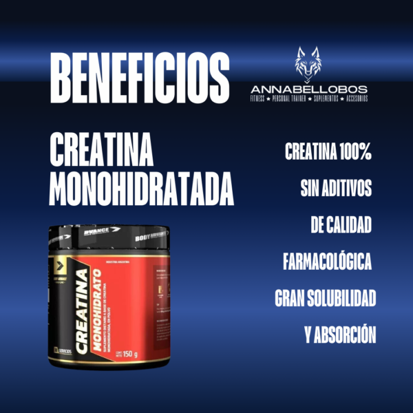 Creatina Monohidrato 150 Gr - BODY ADVANCE